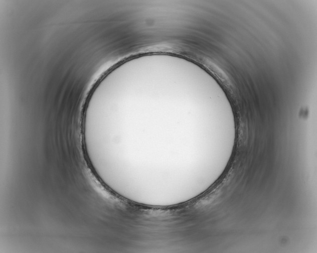 X0000091490800200709061859