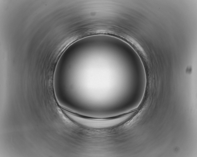 X0000091490801200709061859