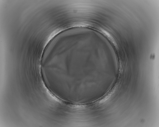 X0000091490802200709061859