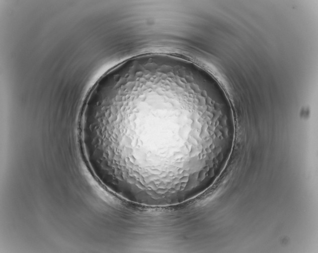 X0000091490803200709061859