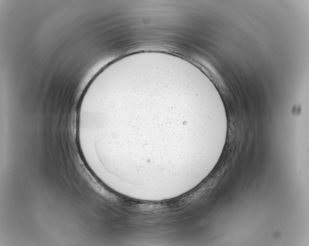 X0000091490804200709061859