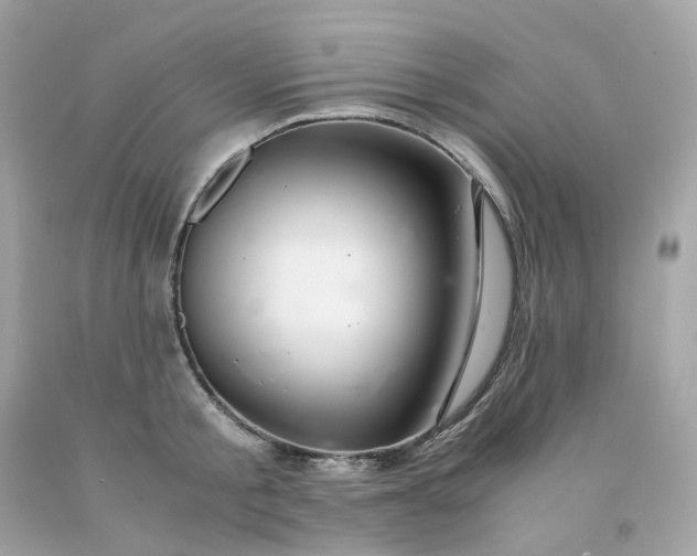 X0000091490805200709061859