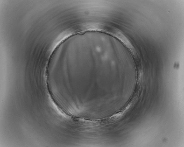 X0000091490806200709061859