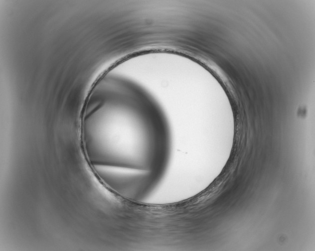 X0000091490807200709061859