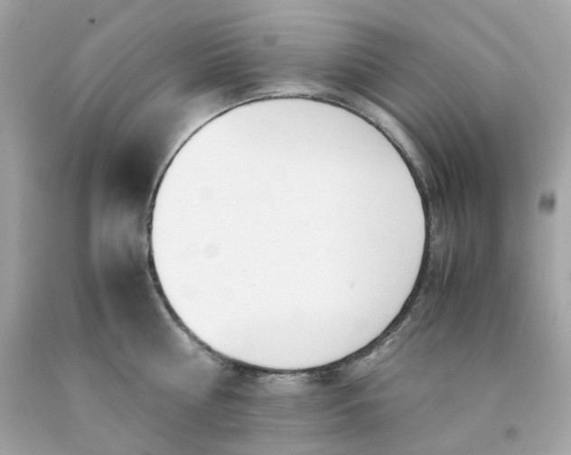 X0000091490810200709061859