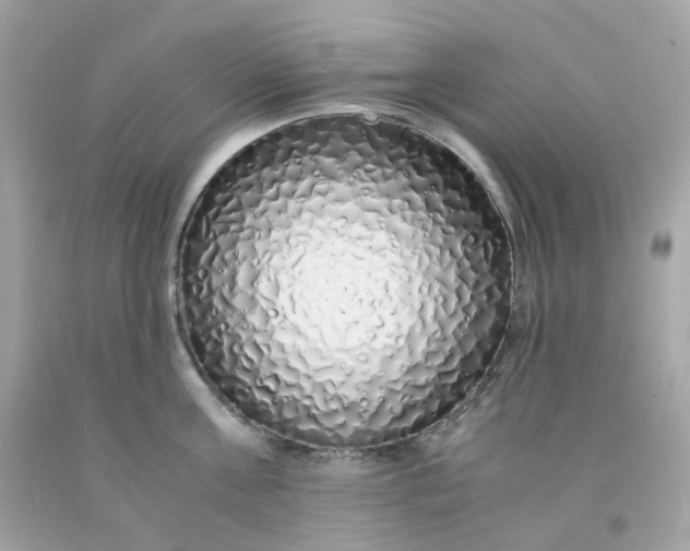 X0000091490811200709061859