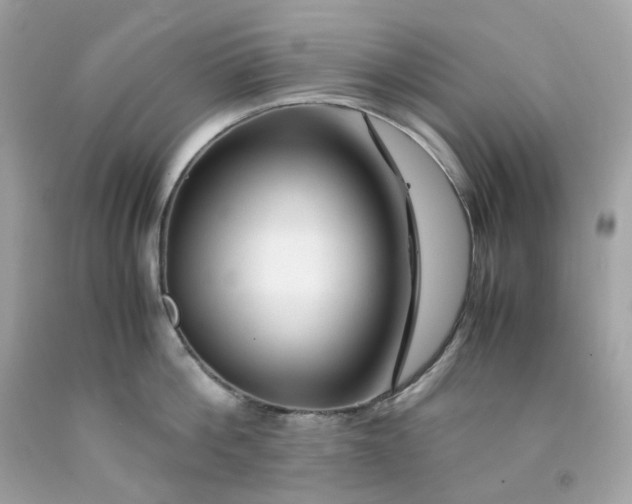 X0000091490812200709061859