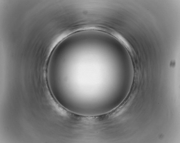 X0000091490813200709061859