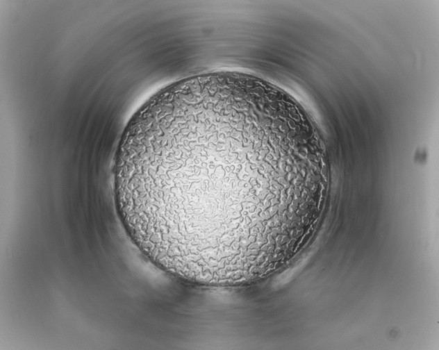 X0000091490814200709061859