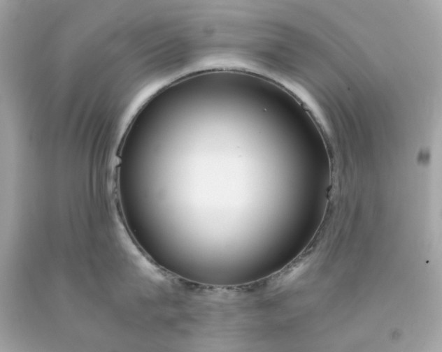 X0000091490815200709061859