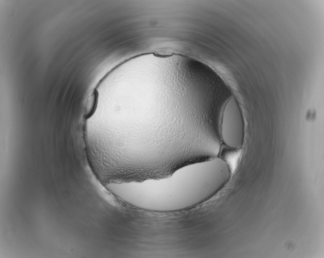 X0000091490816200709061859