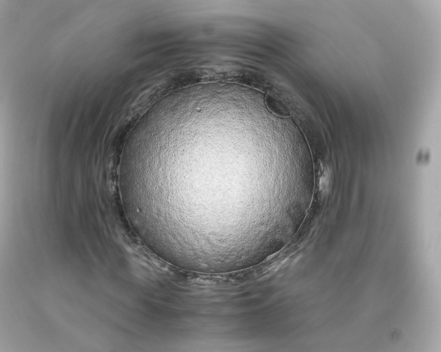 X0000091490819200709061859