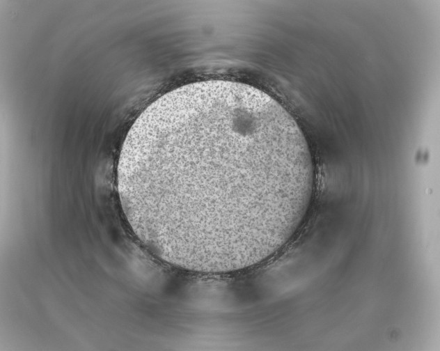 X0000091490820200709061859