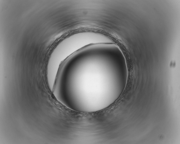 X0000091490822200709061859