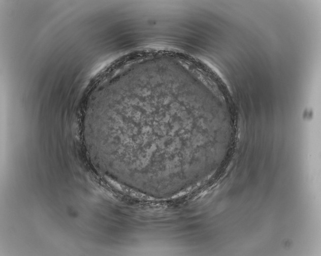 X0000091490823200709061859