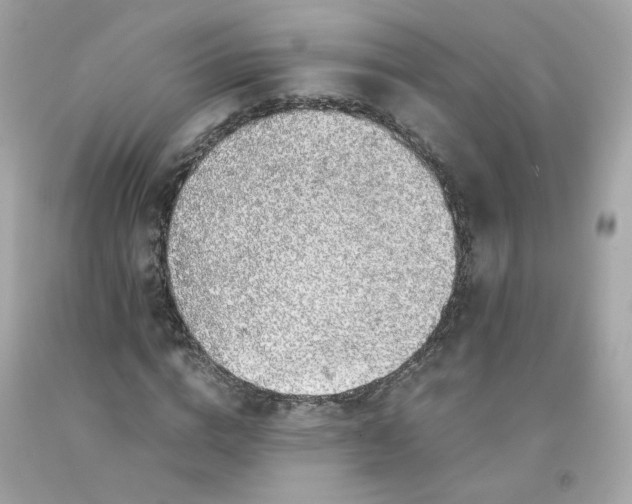 X0000091490824200709061859