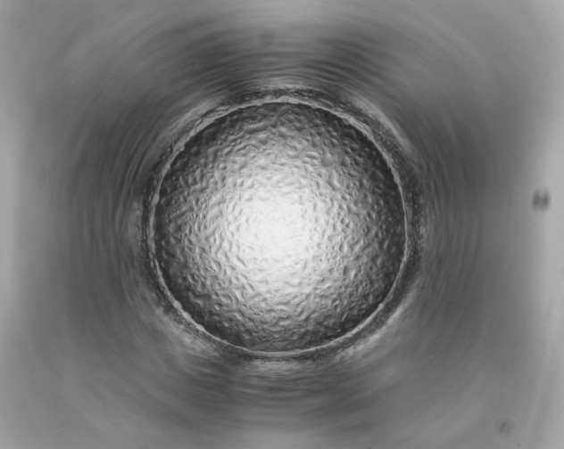 X0000091490825200709061859