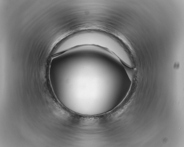 X0000091490826200709061859