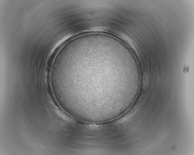 X0000091490827200709061859