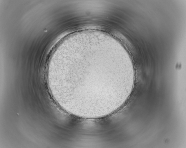 X0000091490828200709061859