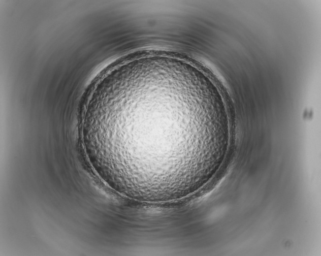 X0000091490829200709061859