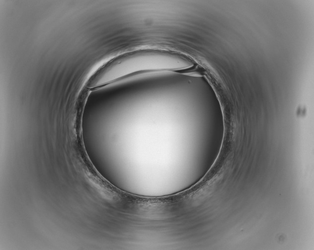 X0000091490830200709061859