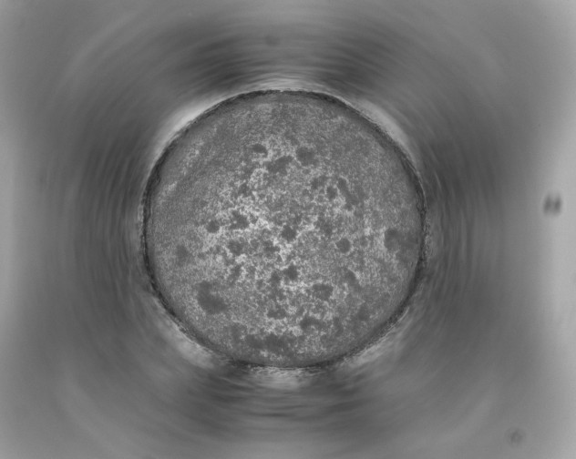 X0000091490831200709061859