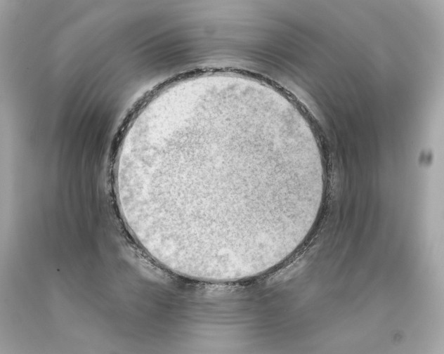 X0000091490832200709061859