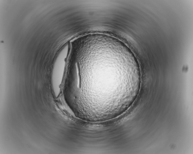 X0000091490833200709061859