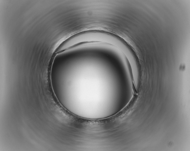 X0000091490834200709061859