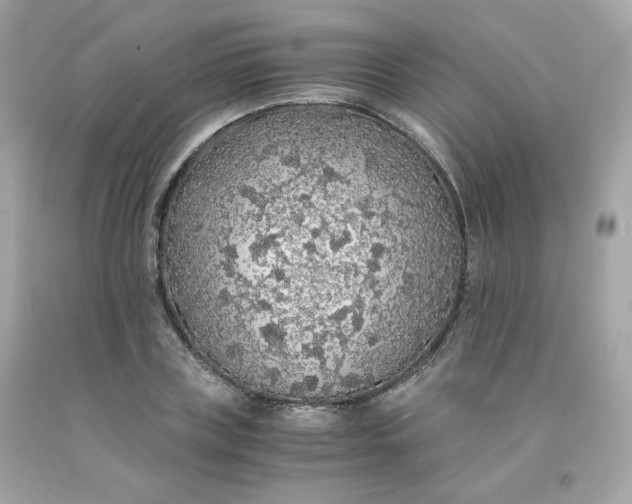 X0000091490835200709061859