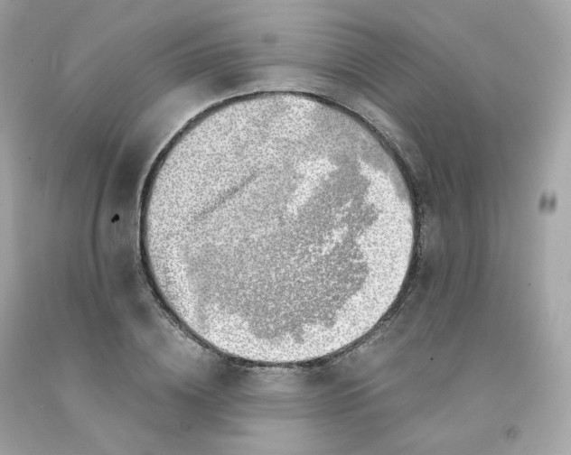 X0000091490836200709061859