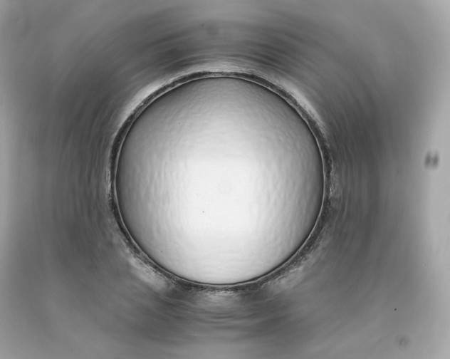 X0000091490837200709061859