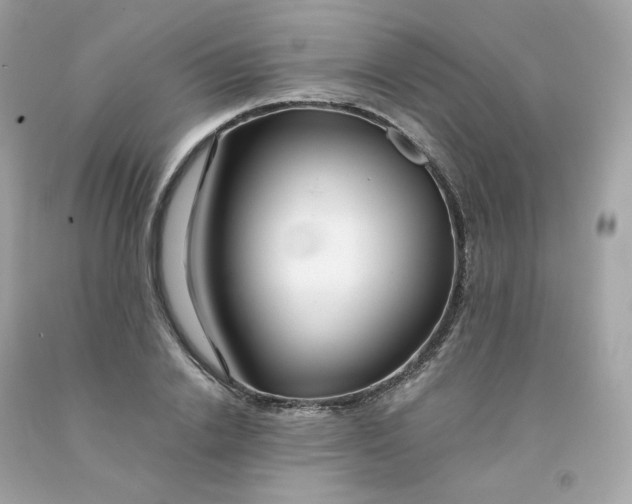 X0000091490838200709061859