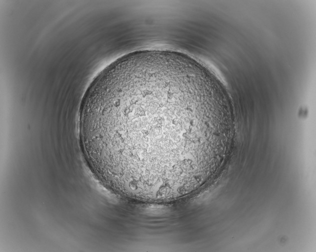 X0000091490839200709061859