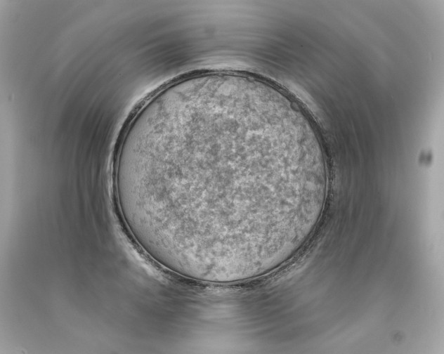 X0000091490840200709061859