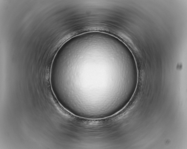 X0000091490841200709061859