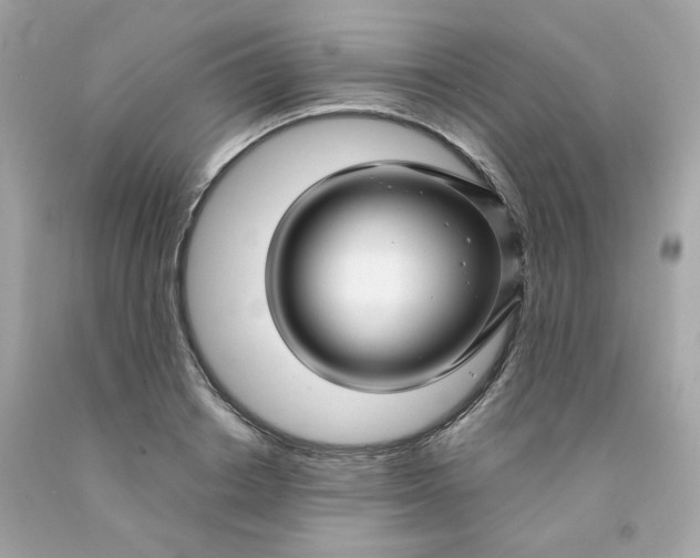 X0000091490842200709061859