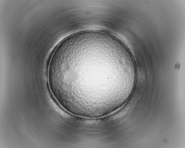 X0000091490843200709061859