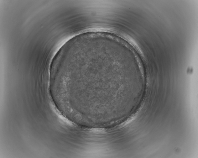 X0000091490844200709061859