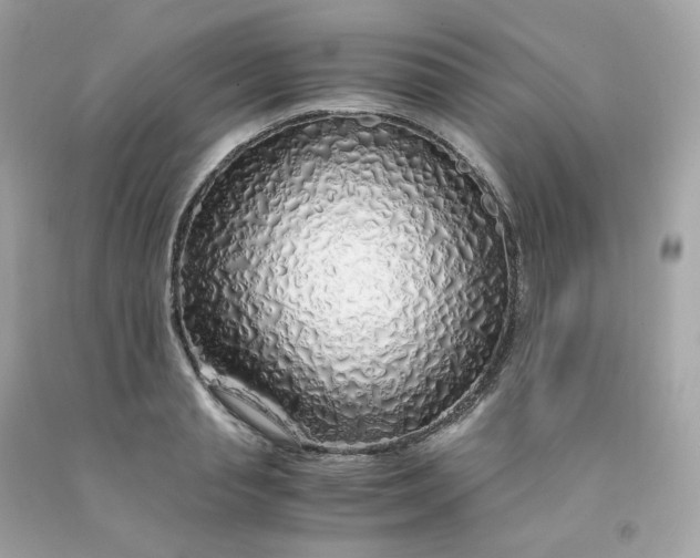 X0000091490845200709061859