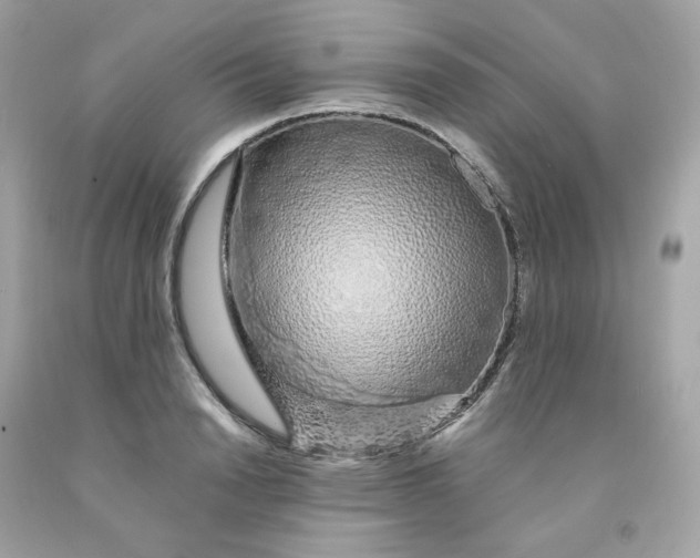 X0000091490846200709061859