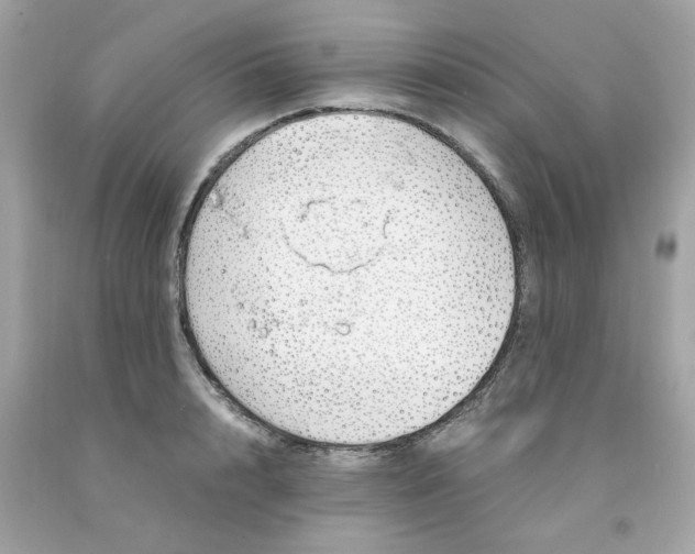 X0000091490848200709061859