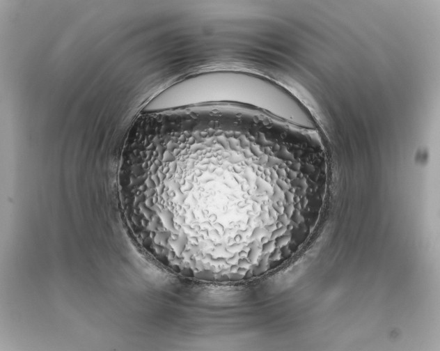 X0000091490849200709061859