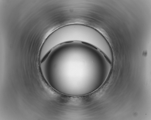 X0000091490850200709061859