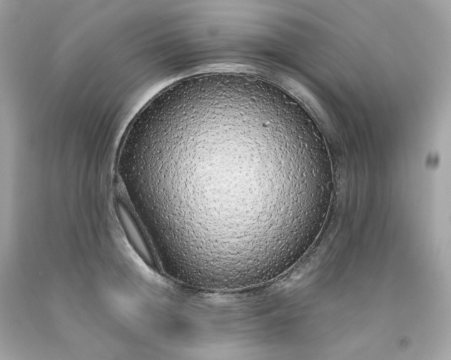 X0000091490852200709061859