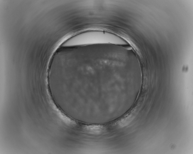 X0000091490853200709061859