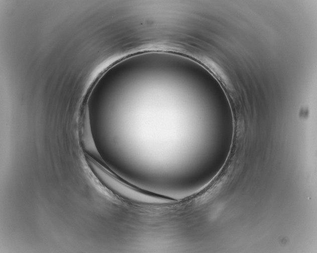 X0000091490854200709061859