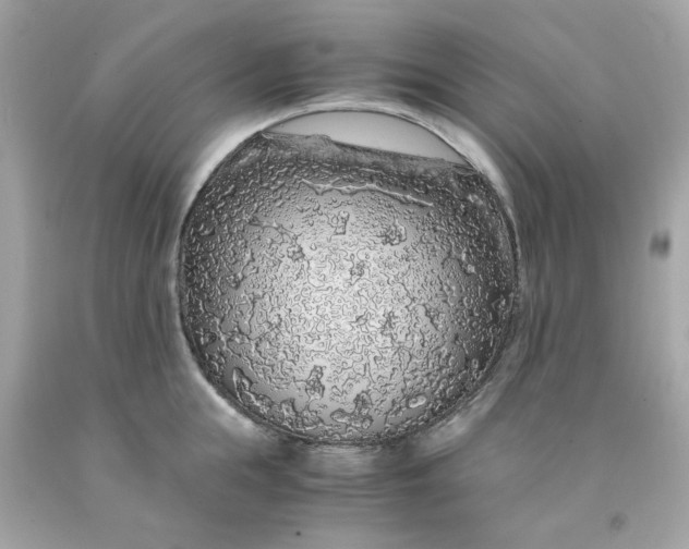 X0000091490855200709061859