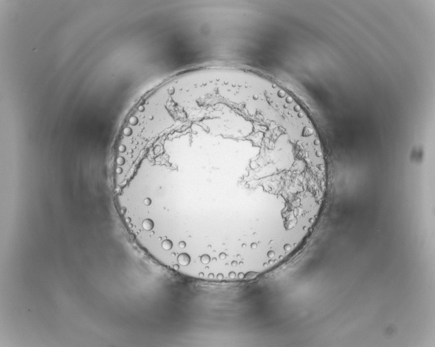 X0000091490856200709061859